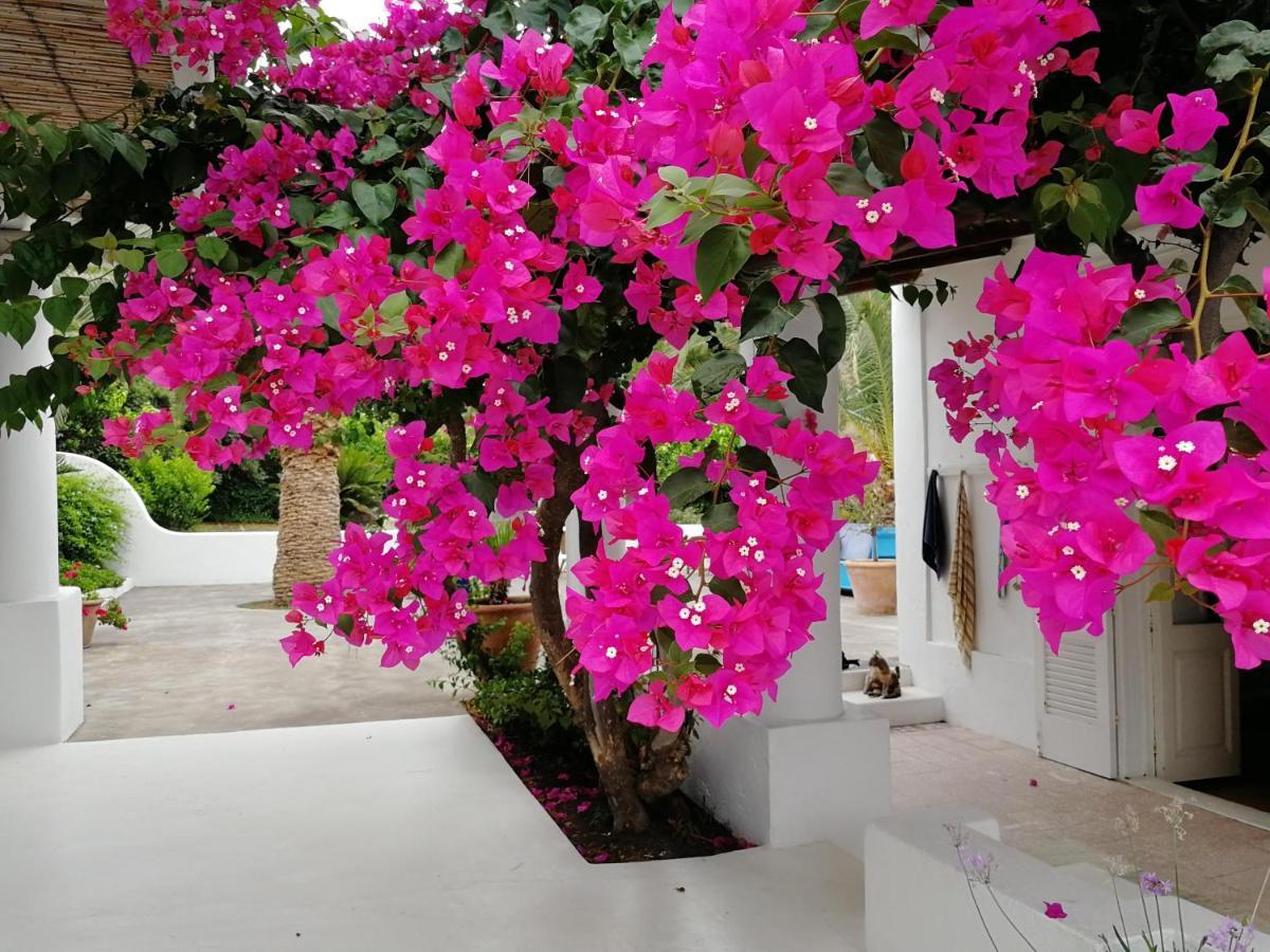 Bed and breakfast Casa Carlotta Estrómboli